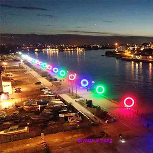 Pilote Drone Professionnel